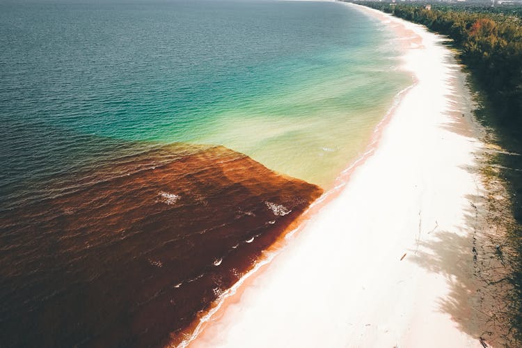 Coastline With Algal Bloom Water