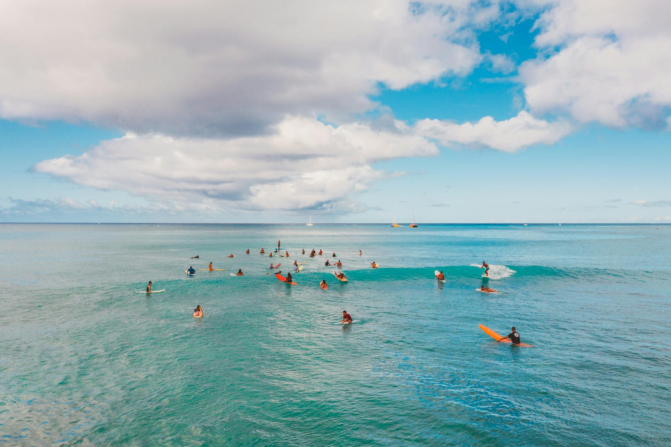 People paddleboarding during daytime, a popular activity at Sarasota waters