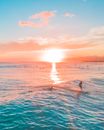 Person in Water during Sunset