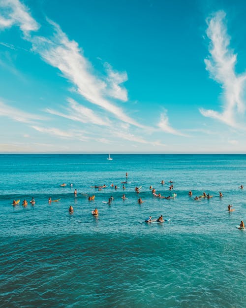 People Sitting on Surfboards in the Beach