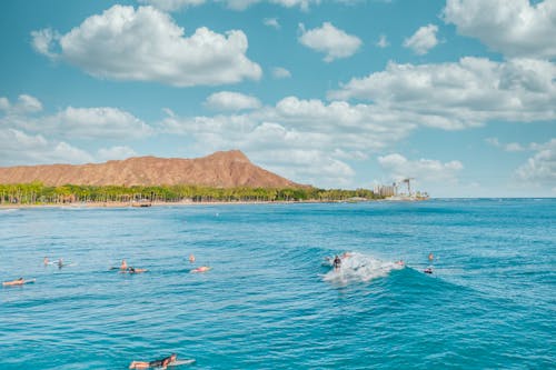 People Surfing on Blue Sea