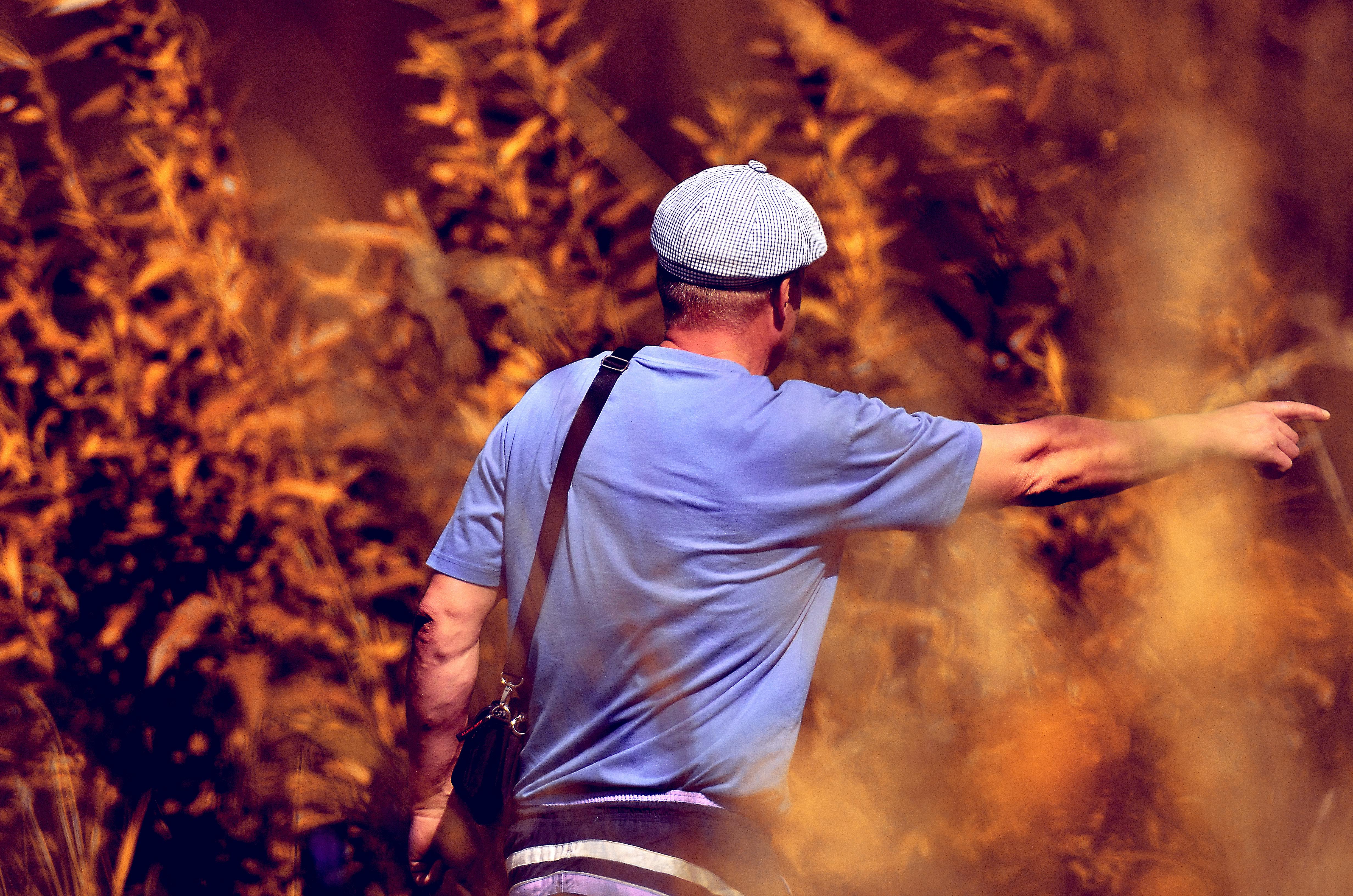 Lawn aeration in Spokane Valley — core aeration holes in fall grass