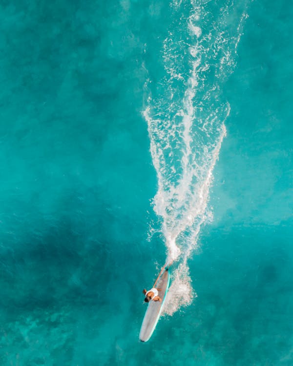 Woman in White Swimsuit Surfing on Blue Sea