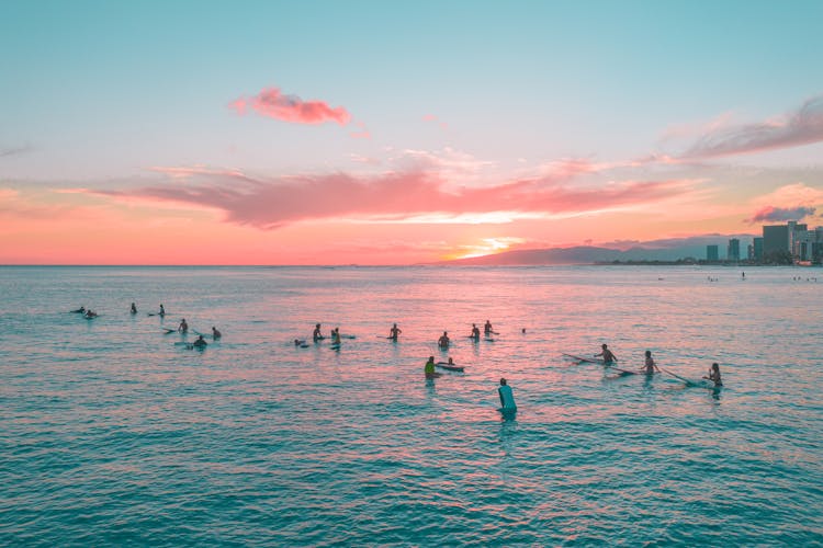 People On Their Surfboards At The Beach During Sunset