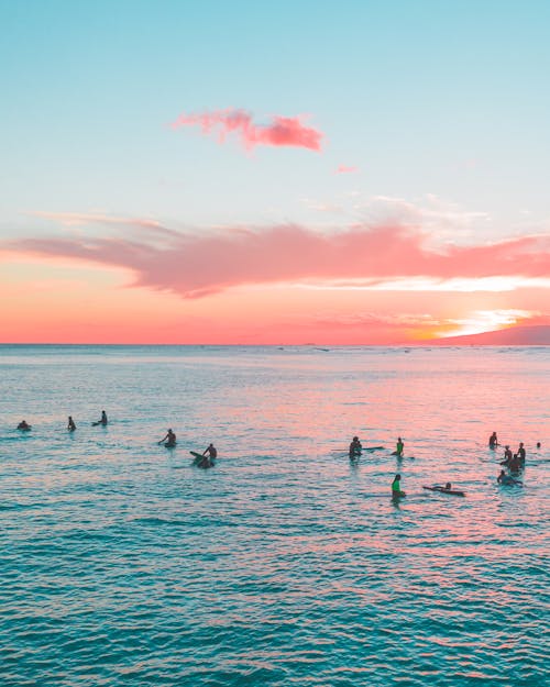 People Surfing on the Sea during Sunset