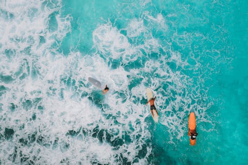 A Surfer Riding Waves at Sea · Free Stock Photo