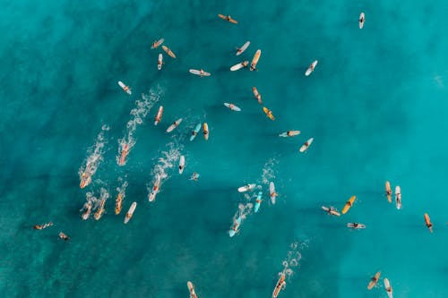 Aerial View of People Surfing on the Sea
