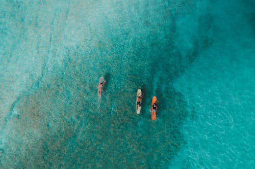 Aerial Photography of People Surfboarding on Sea