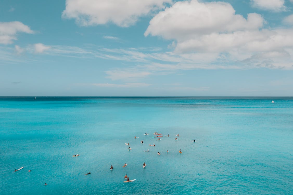 Aerial Photography of People on the Sea