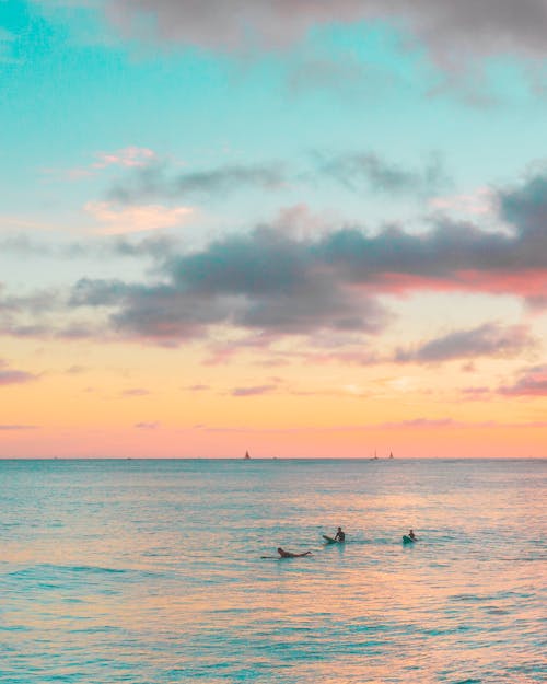 Free Silhouette of People Swimming on the Sea during Sunset Stock Photo