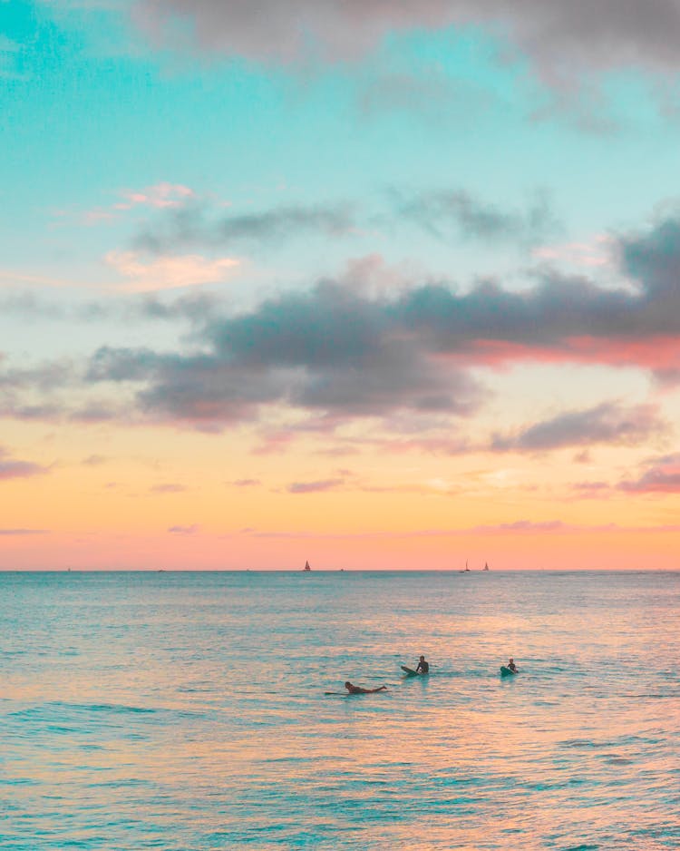 Silhouette Of People Swimming On The Sea During Sunset