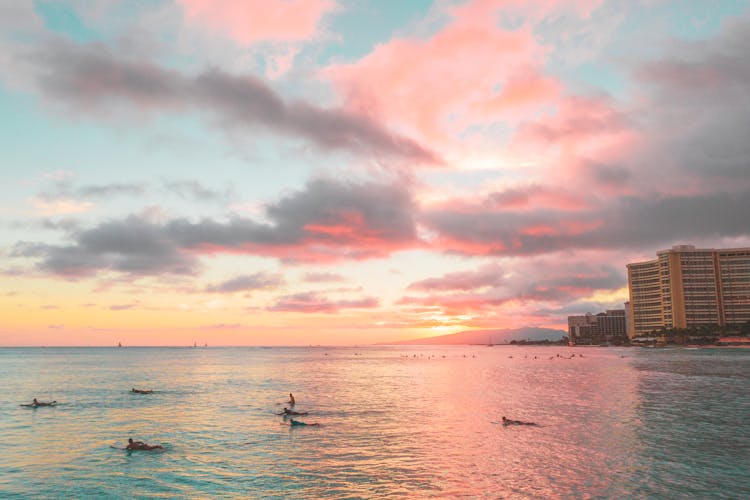 Silhouette Of People Swimming On The Sea During Sunset