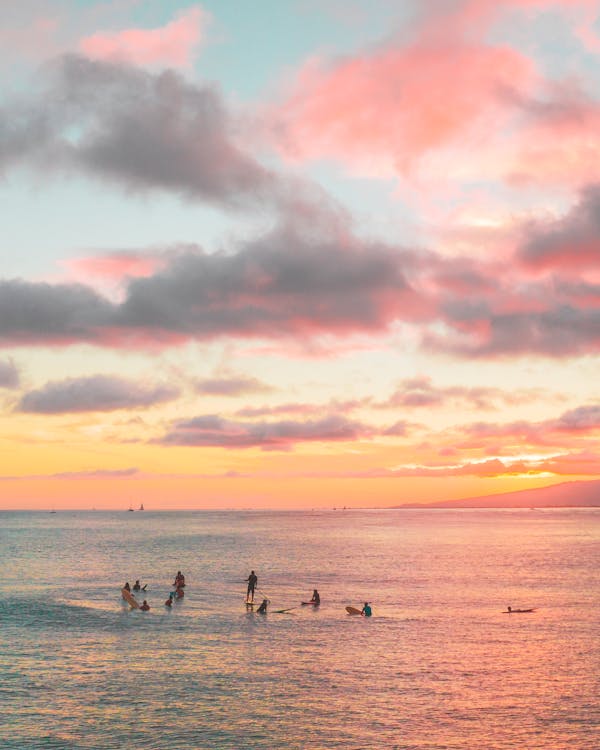 Surfers in the Sea during Sunset