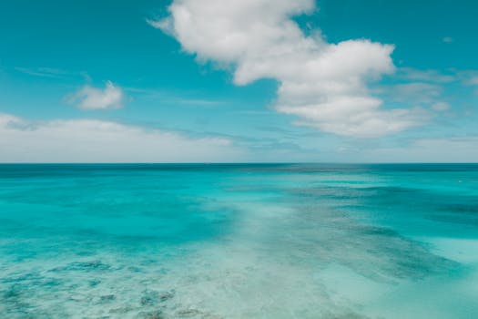 一望无际的蓝色海洋与宁静的天空景色，非常适合放松身心、激发旅行灵感