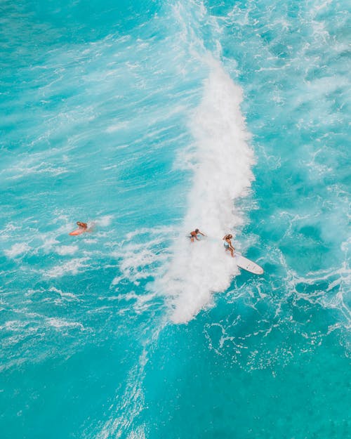 Aerial Photography of People Surfing on Sea Waves