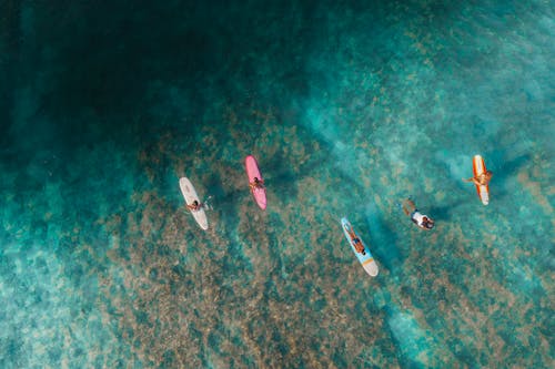 Fotobanka s bezplatnými fotkami na tému lopata, more, paddleboarding