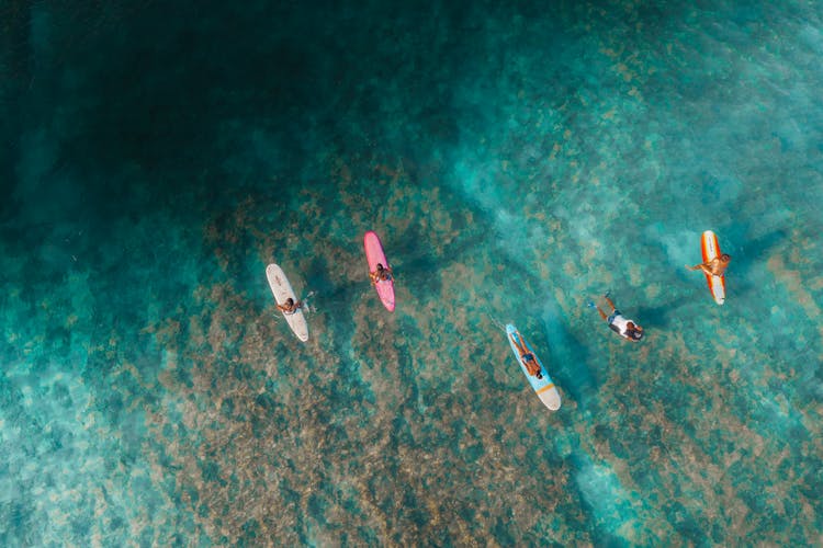 Tourists Paddleboarding On Sea