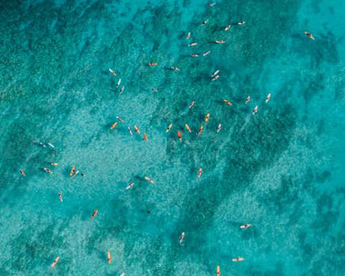 Free A stunning aerial shot of surfers riding waves in a vibrant turquoise sea, perfect for summer vibes. Stock Photo