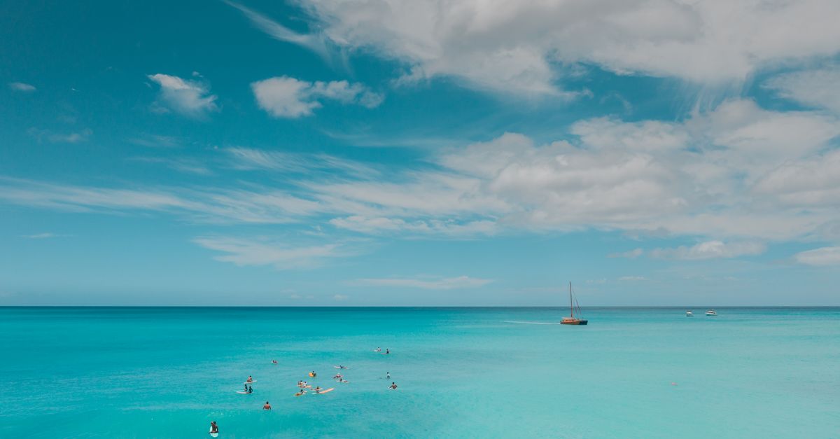 Les meilleures astuces pour vivre des sensations nautiques mémorables