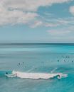 在明亮的夏日天空下，一群冲浪者享受着原始的蓝色海水