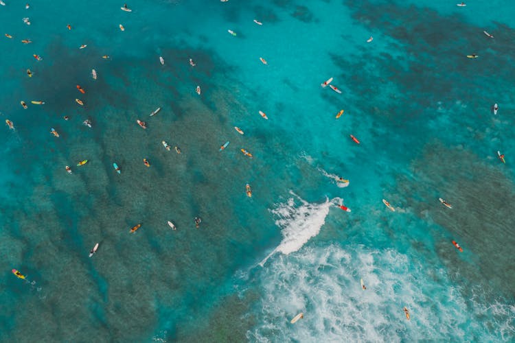 Tourists Paddleboarding On Sea 