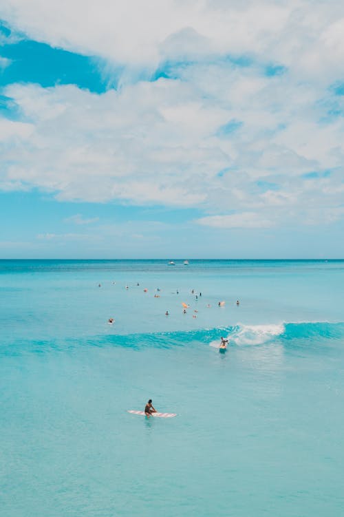 サーフィン, 休暇, 垂直ショットの無料の写真素材