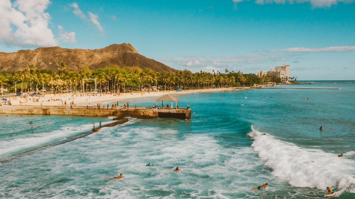 Pet Product Giveaways in Honolulu, HI: Updated 2026 List for Local Winners