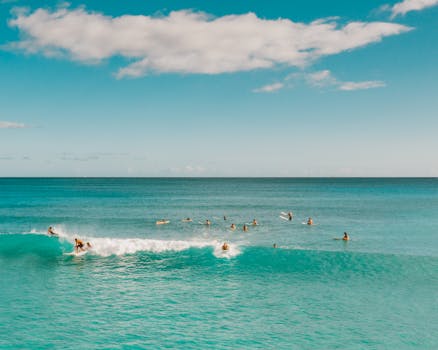 一群冲浪者在宁静的热带海洋上，迎着蓝天冲浪