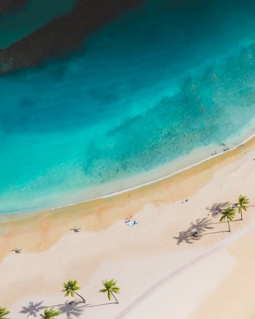 Aerial Photography of Tropical Sea and Beach 