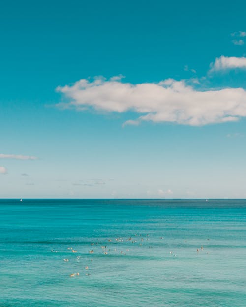 Free Photo of the Sea against the Sky with a Cloud Stock Photo