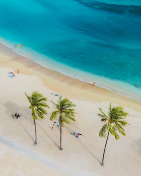 A vibrant tropical beach scene with people, palms, and turquoise waters from above.