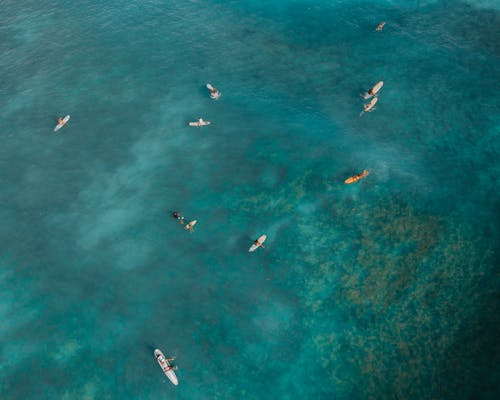 Aerial View of People Surfing on Sea