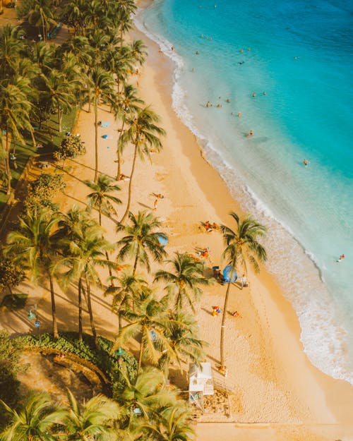 Free High Angle View of a Beach Stock Photo