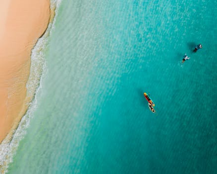 A top-down view of surfers floating in clear turquoise waters near a sandy beach.
