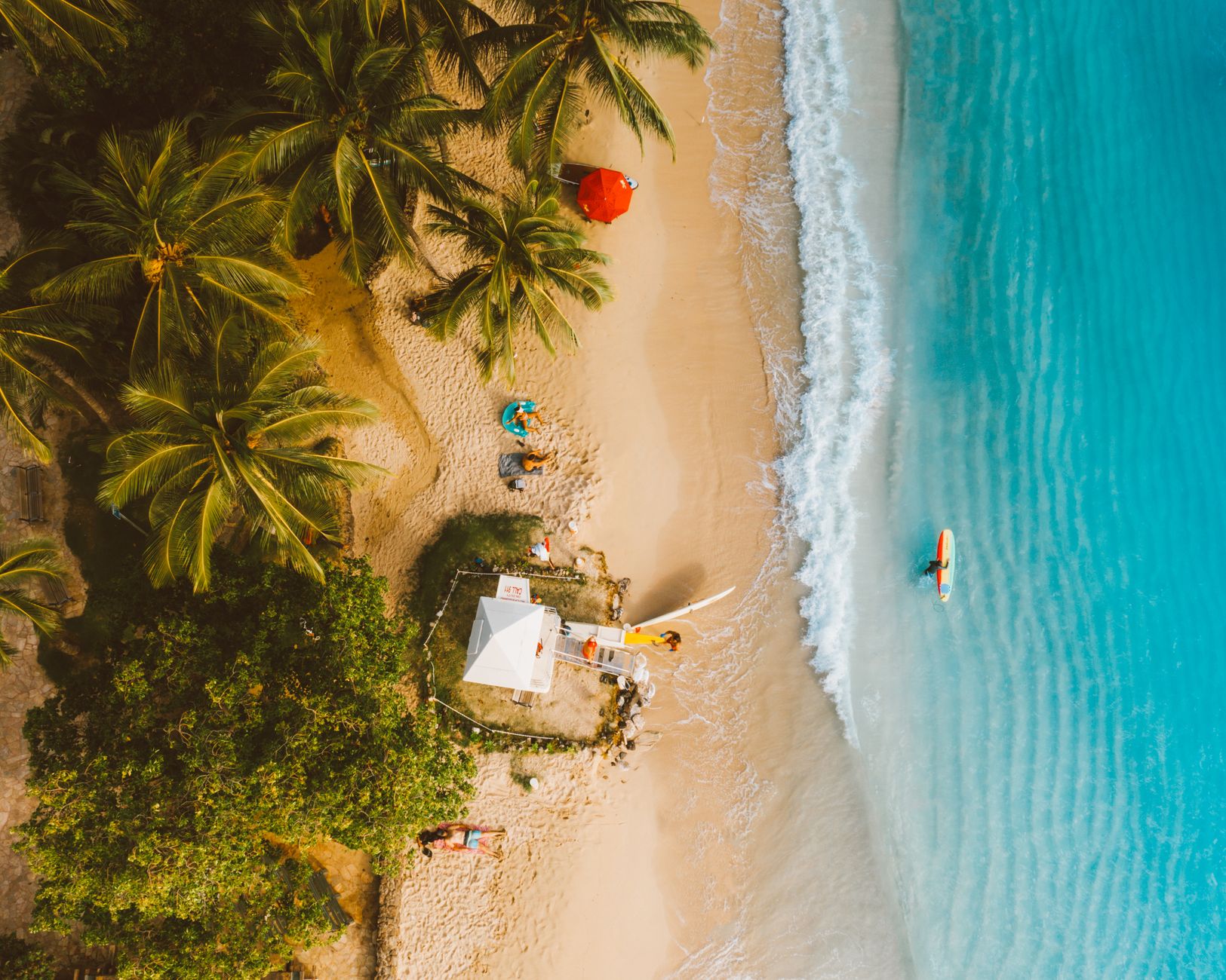 Stunning aerial shot of a tropical beach with palm trees and turquoise waters.