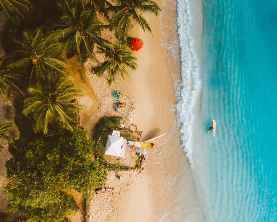 A palm-fringed beach with clear water