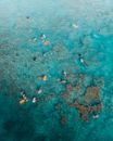 People Swimming in the Sea