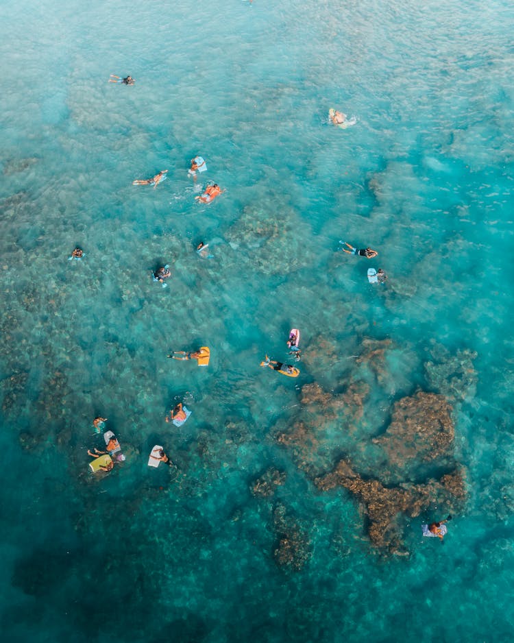 Sunbathers Swimming On Air Mattresses In Sea At Coral Reef