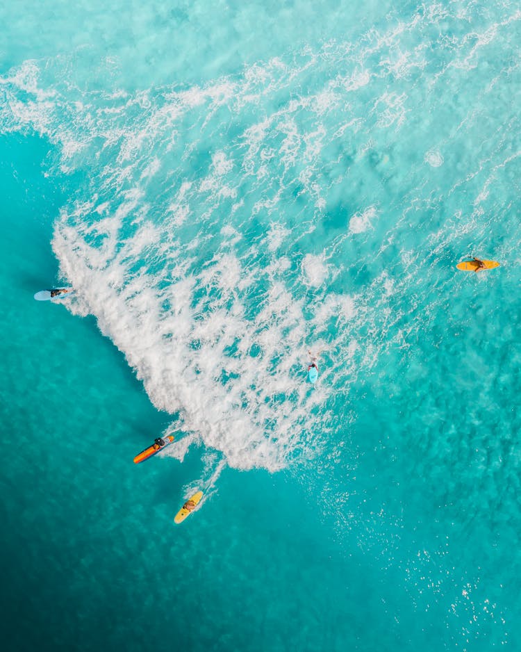 People Paddleboarding On Sea