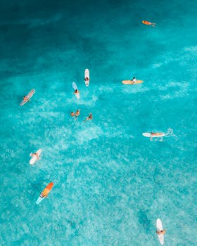 Aerial shot of surfers paddling in clear turquoise ocean water, perfect for leisure and adventure themes.
