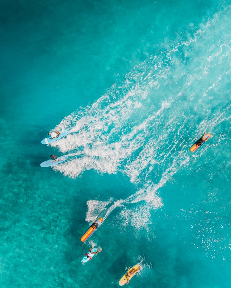 People Paddleboarding On Sea