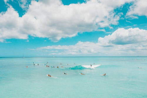 People Swimming in the Sea