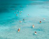 People Swimming on Sea