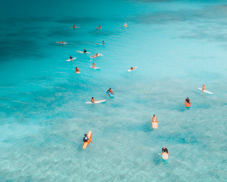 People Surfing On Boards In Blue Ocean