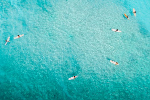 航拍照片中，冲浪者漂浮在清澈碧绿的海面上，享受着阳光明媚的一天