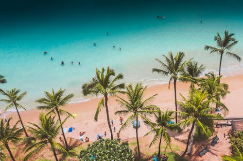 High Angle View of a Beach