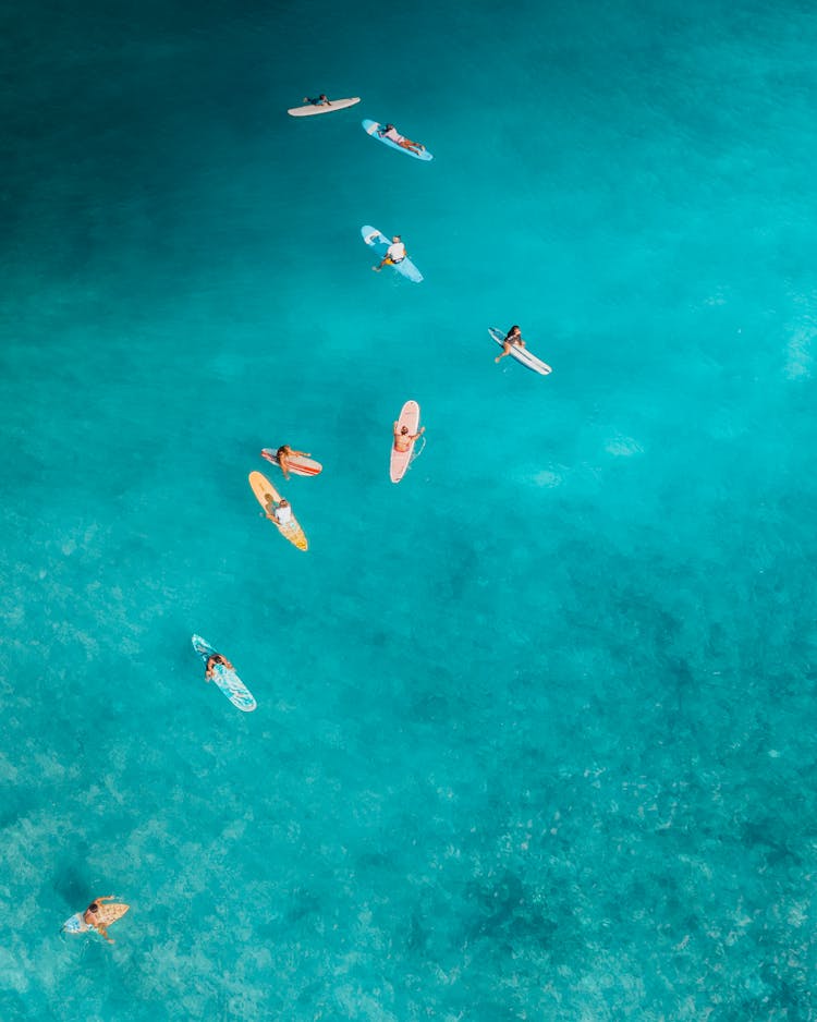 People Paddleboarding On Sea 