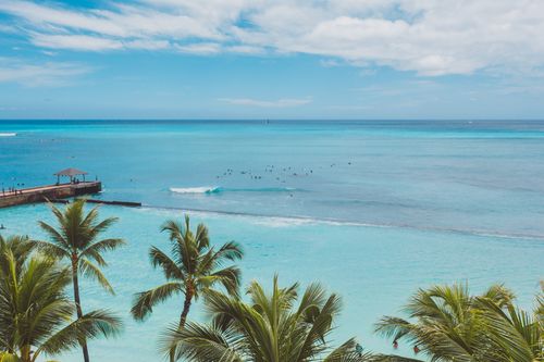 Free Serene view of a tropical beach with palm trees and crystal-clear ocean under a bright sky. Stock Photo
