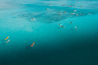 People Swimming on Sea
