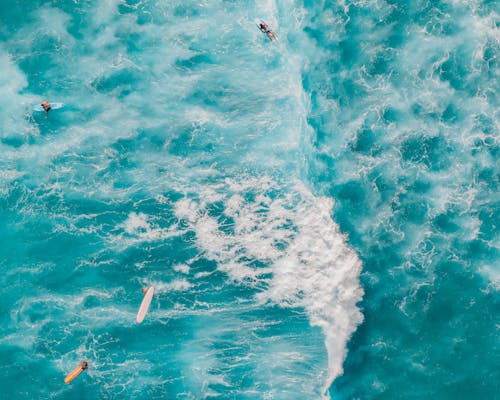 人, 土耳其藍, 夏天 的 免费素材图片